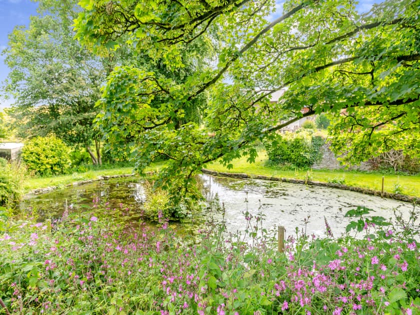 Surrounding area | Oak Cottage, Slapton