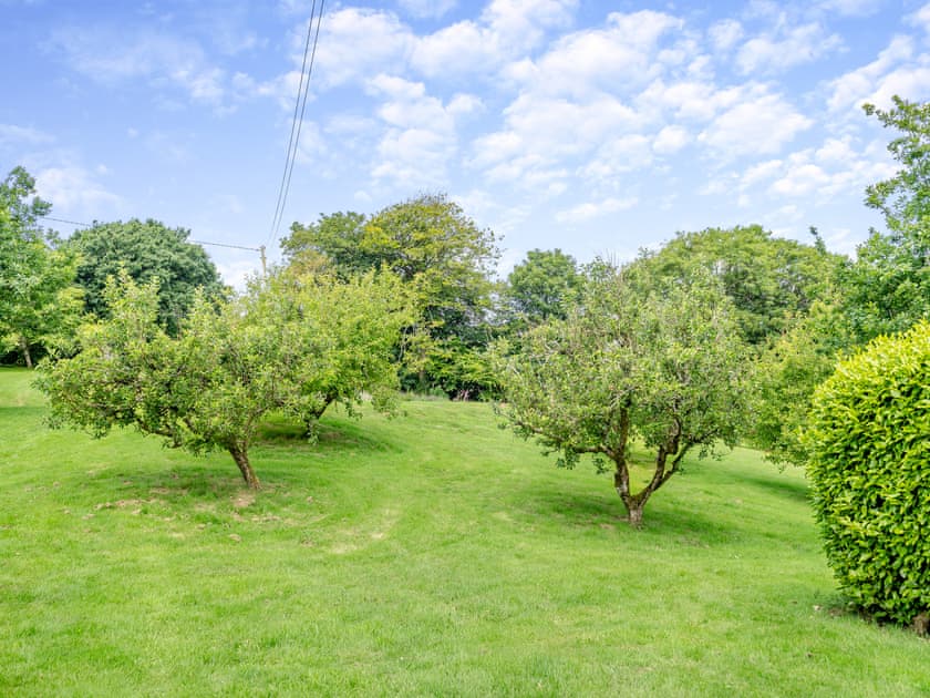 Surrounding area | Oak Cottage, Slapton