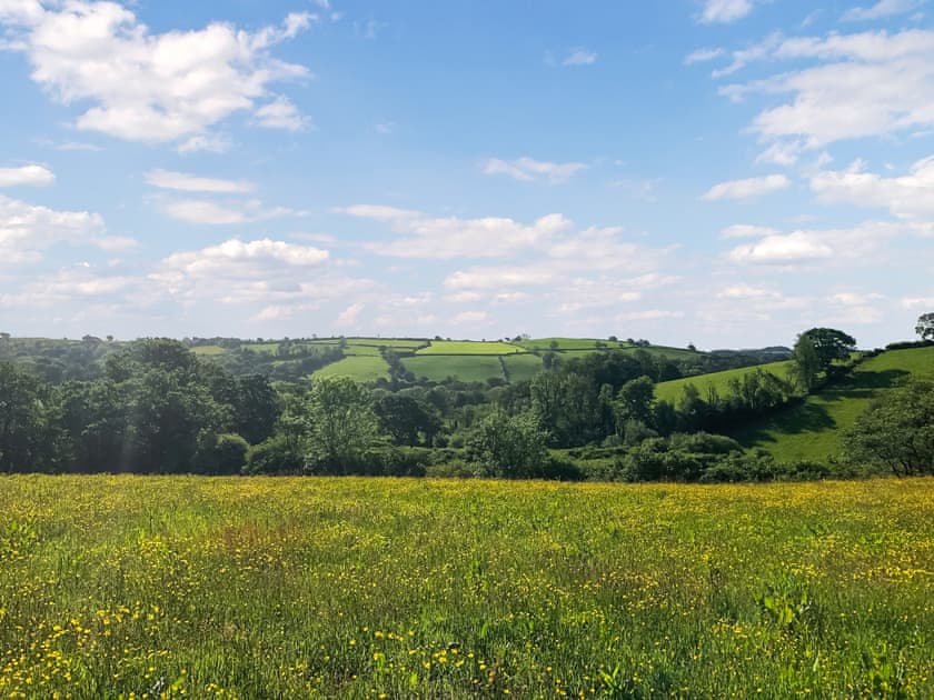 View from the grounds | Ynywsen Dairy Flat, Nantgaredig