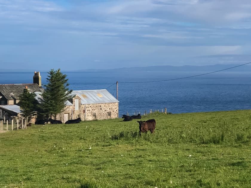 Surrounding area | Ballygroggan Bungalow - Ballygroggan Farm, Machrihanish, near Campbeltown
