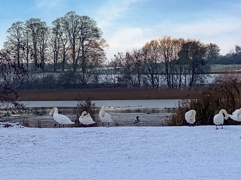 Surrounding area | Borders Cottage, Coldstream, near Kelso