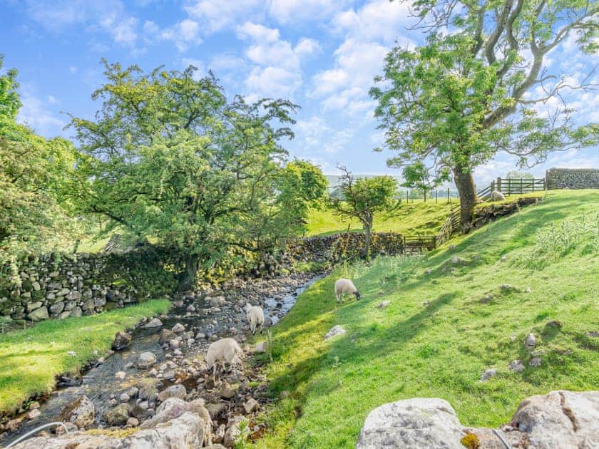 Surrounding area | Grisedale Stables, Threshfield, near Grassington