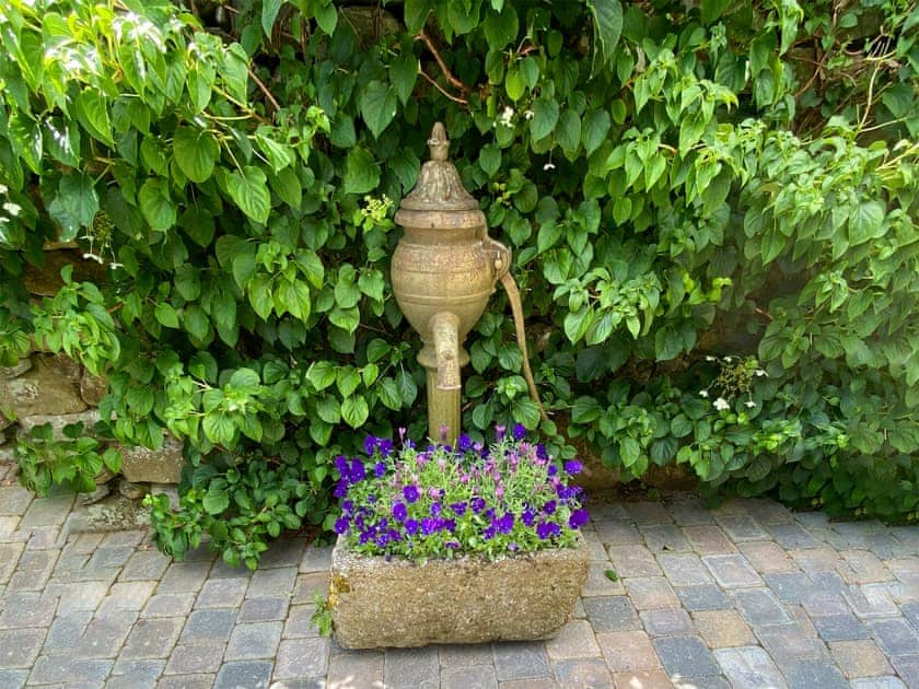 Garden | The Barn, Rowen, near Conwy