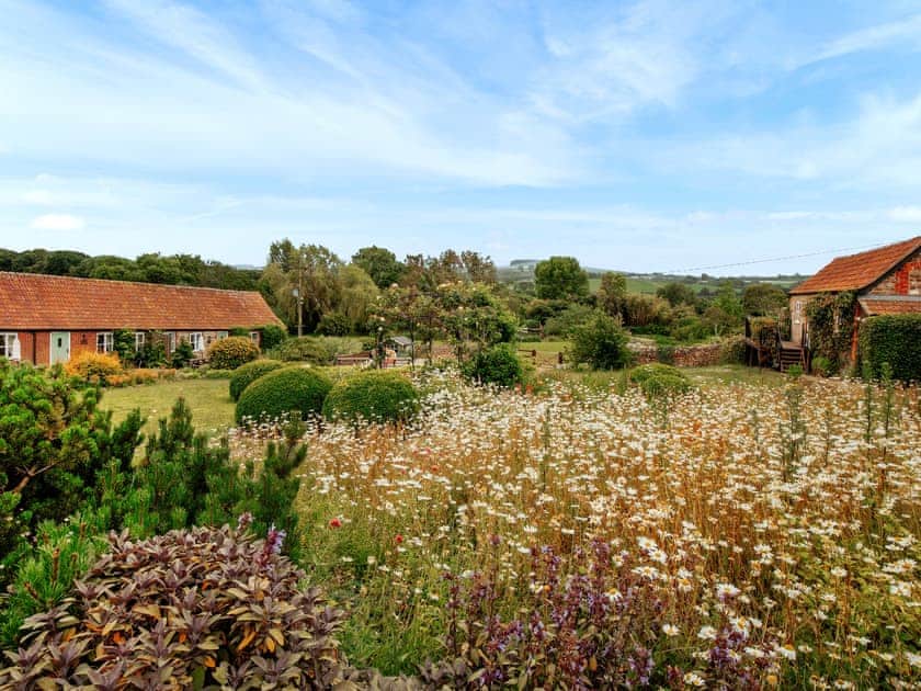 Outdoor area | Carters Cottage - Rudge Farm Cottages, Chilcombe, near Bridport