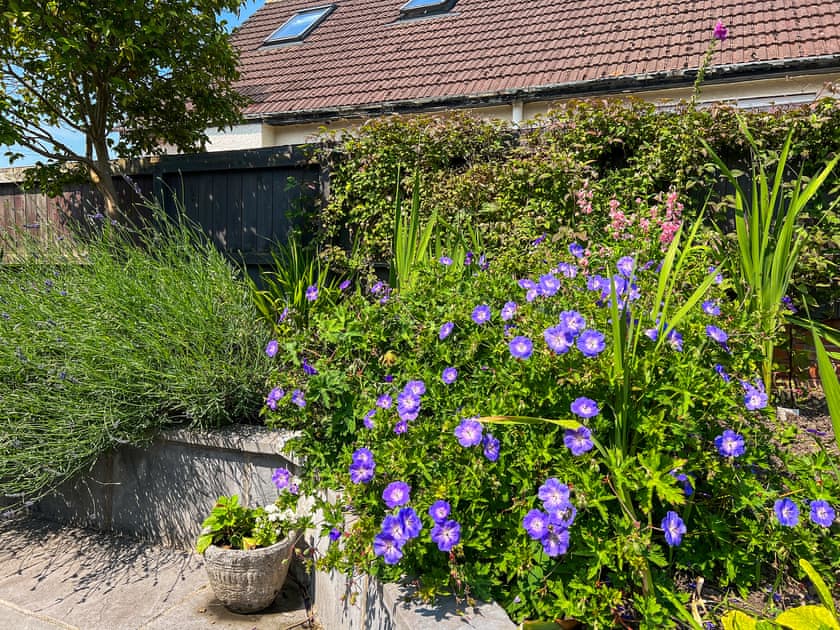 Garden | Cwtch Cottage, Cardiff