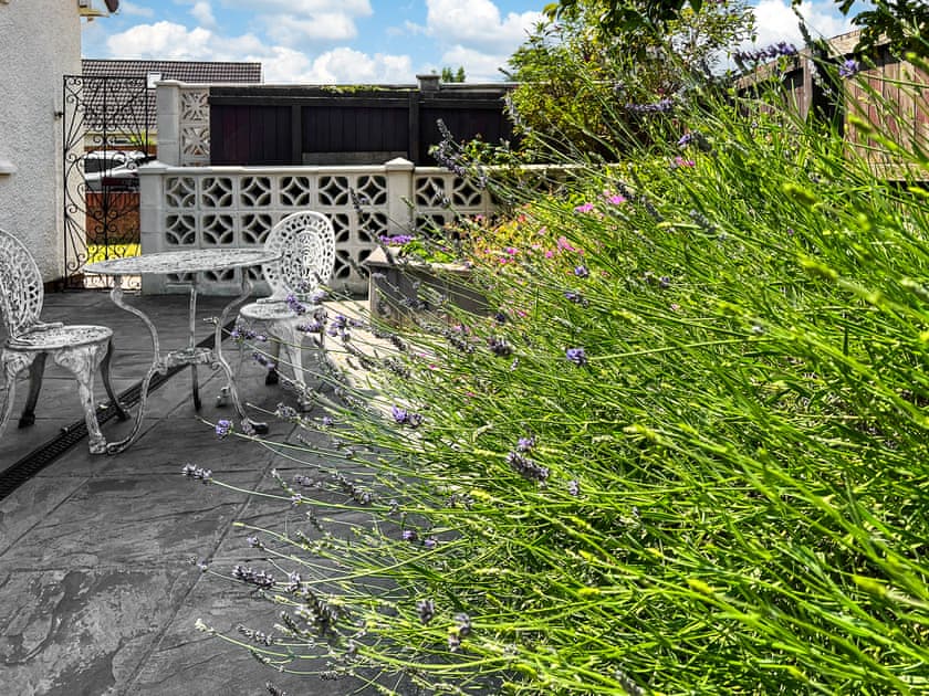 Sitting-out-area | Cwtch Cottage, Cardiff