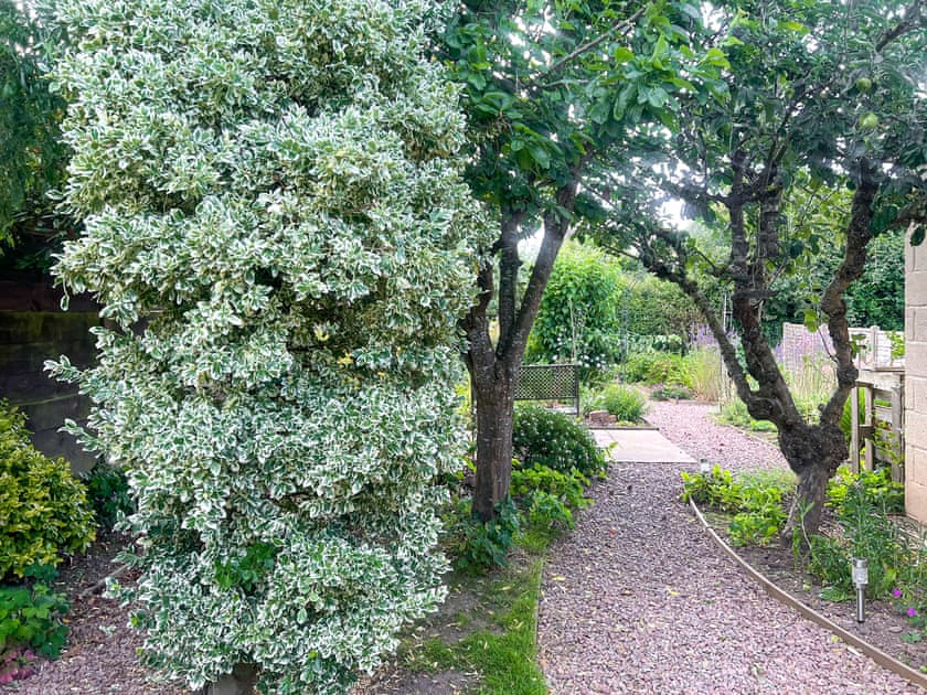 Garden | Mum’s Place, Hay-on-Wye