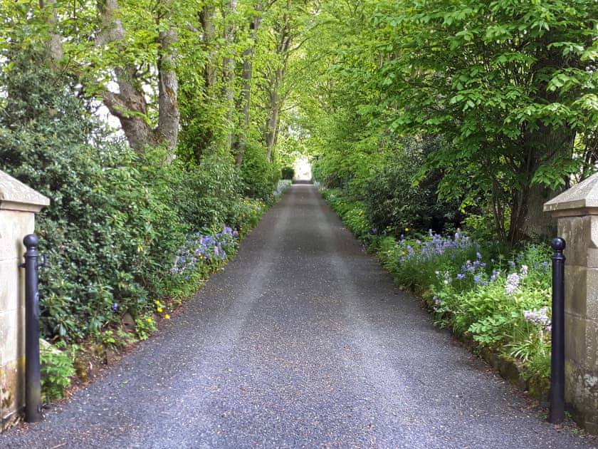 Surrounding area | The Studio at Westfield, Bellingham, near Hexham