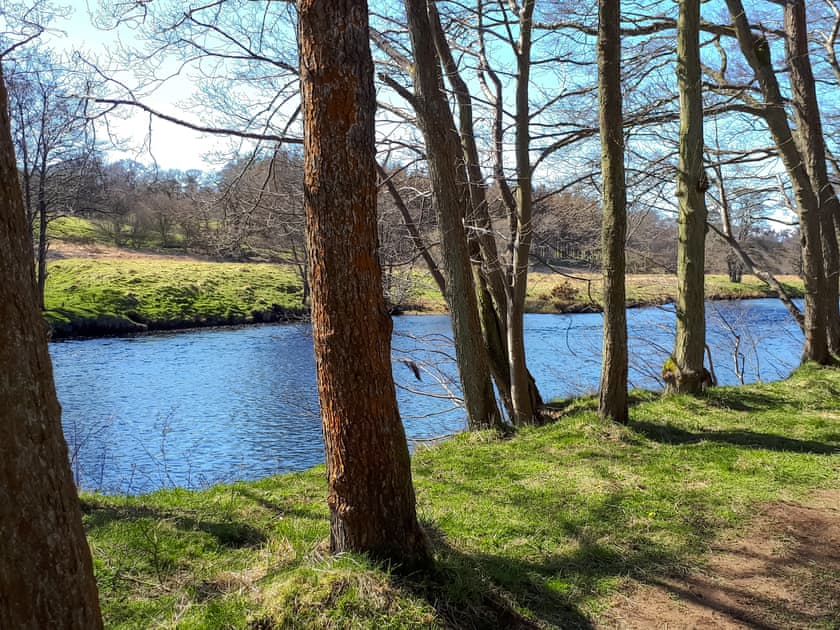 Surrounding area | The Studio at Westfield, Bellingham, near Hexham