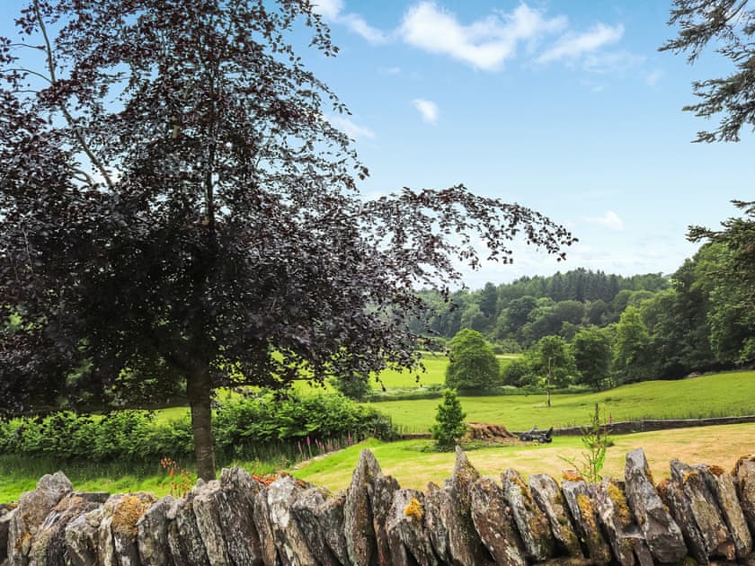 View | Rhydlanfair, Near Betws-y-Coed