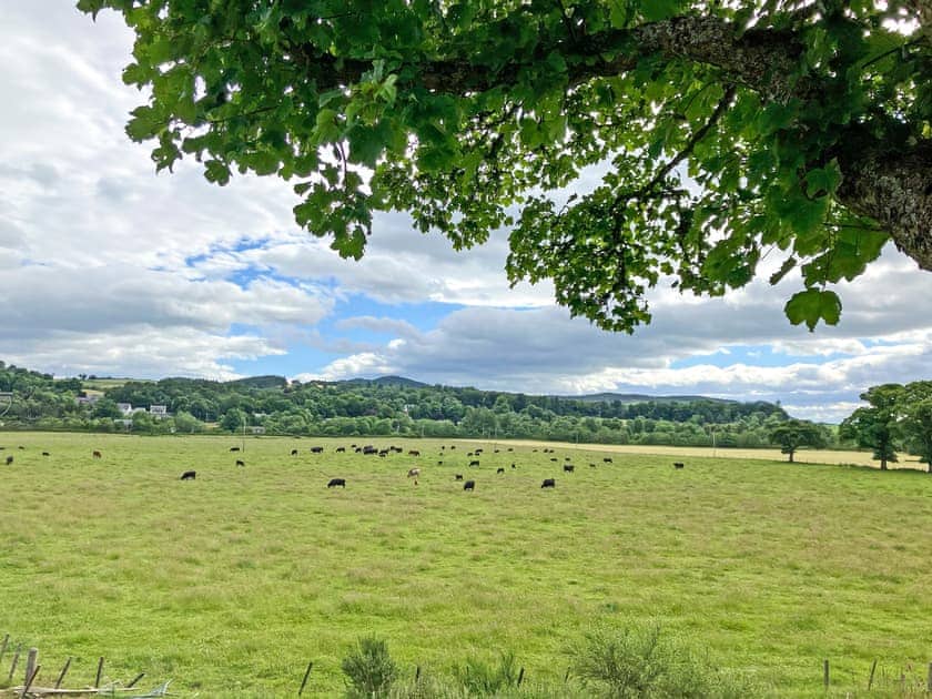 View | Rose Cottage - Torachilty Farm, Achilty