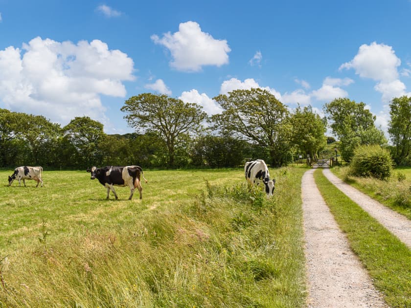 Track leading to the Dome  | The Dome, Thurnham, near Lancaster