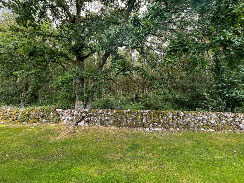 Surrounding area | Lodge Two - Bonnie Escapes, Dalbeattie