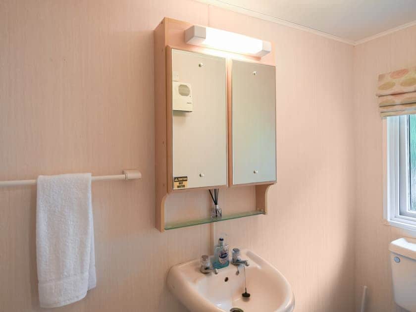 Shower room | The Beehive C29 - Garth Holiday Park, Machynlleth