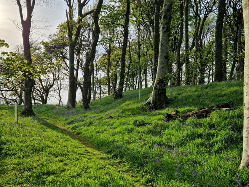Surrounding area | Caerlaverock CottagesBankswood Cottage,  Caerlaverock, near Dumfries