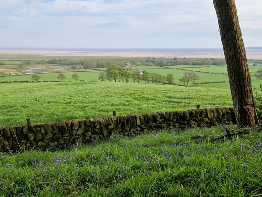 Surrounding area | Caerlaverock CottagesBankswood Cottage,  Caerlaverock, near Dumfries