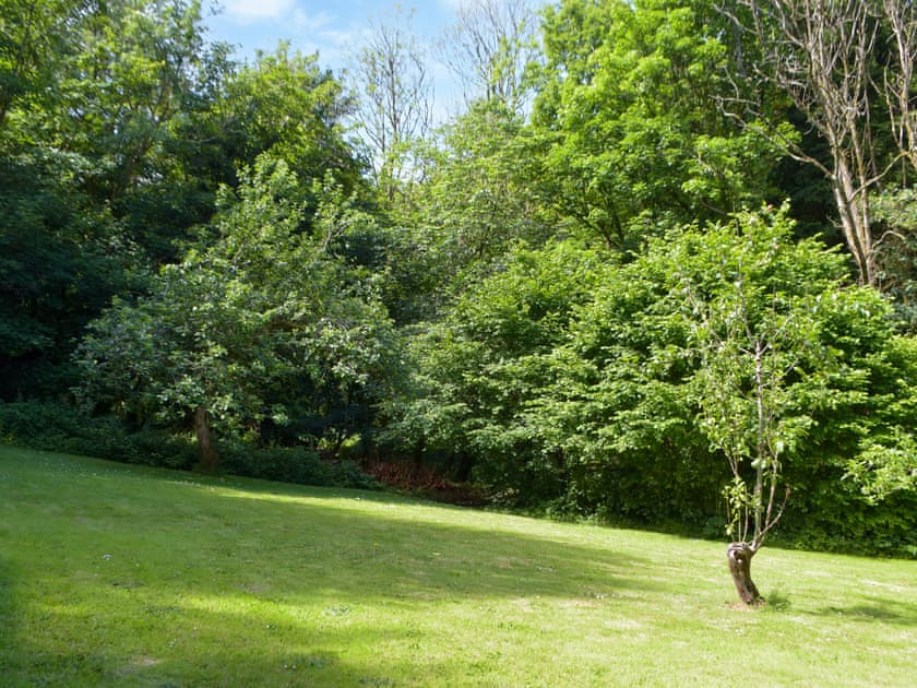 Garden | Wood Cottage, Stackpole Cheriton, near Pembroke