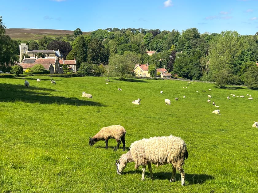 Surrounding area | Tranmire Cottage, Lastingham