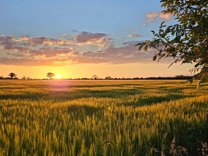Watch the sun set over the fields | Elm Barn View - Elm Barn, Freethorpe