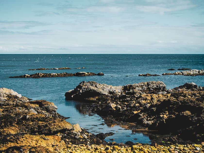 Surrounding area | Lobster Ponds, Helmsdale