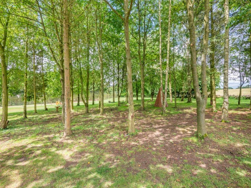 Surrounding area | Chestnut Lodge - Woodland Cottages, Halstead