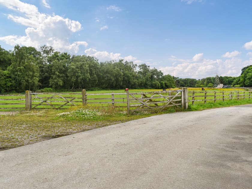Outdoor area | Woodland View - Hazel Hill Retreats, Blackwoods, near Easingwold