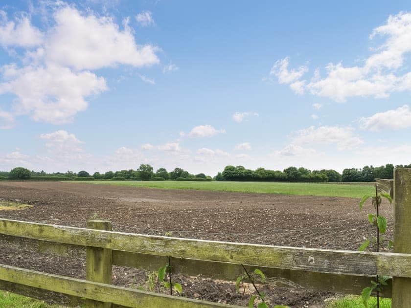 View | Woodland View - Hazel Hill Retreats, Blackwoods, near Easingwold