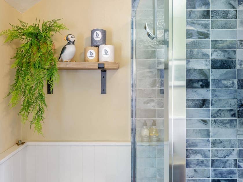 Shower room | Willow Tit Cottage, Ffostrasol