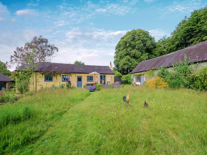 Exterior | Willow Tit Cottage, Ffostrasol