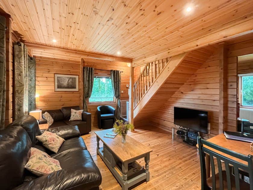 Delightful living room  | Criffel Lodge, Tongland, Kirkcudbright