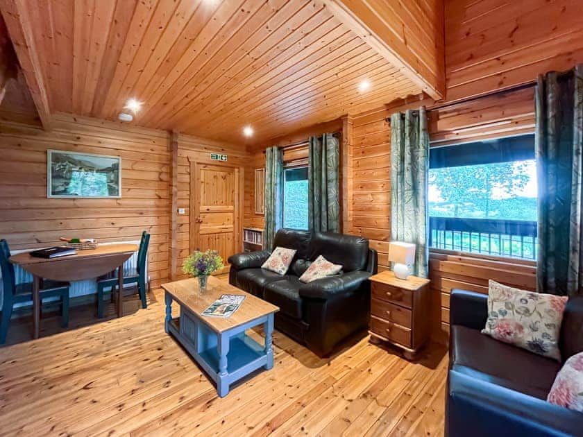 Delightful living room  | Criffel Lodge, Tongland, Kirkcudbright