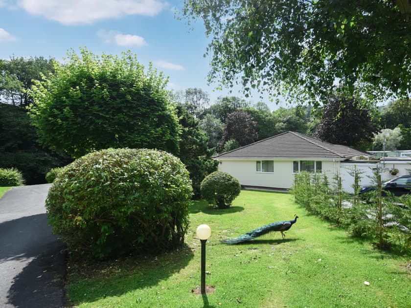 Exterior | The Bungalow, Berriew, near Welshpool