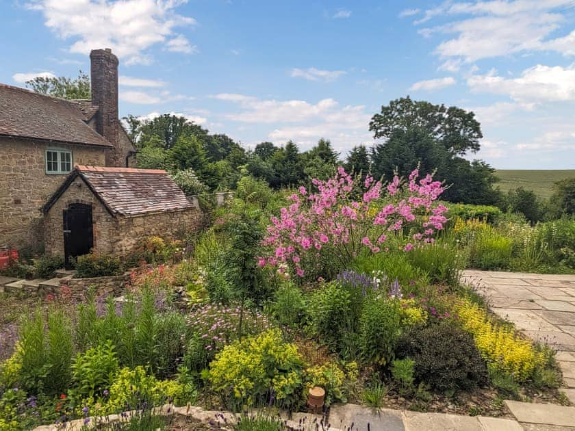 Outdoor area | Studio at The Green, Shrewsbury