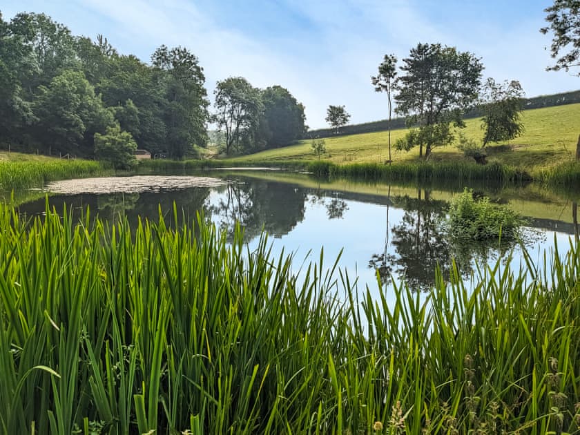 Surrounding area | Studio at The Green, Shrewsbury