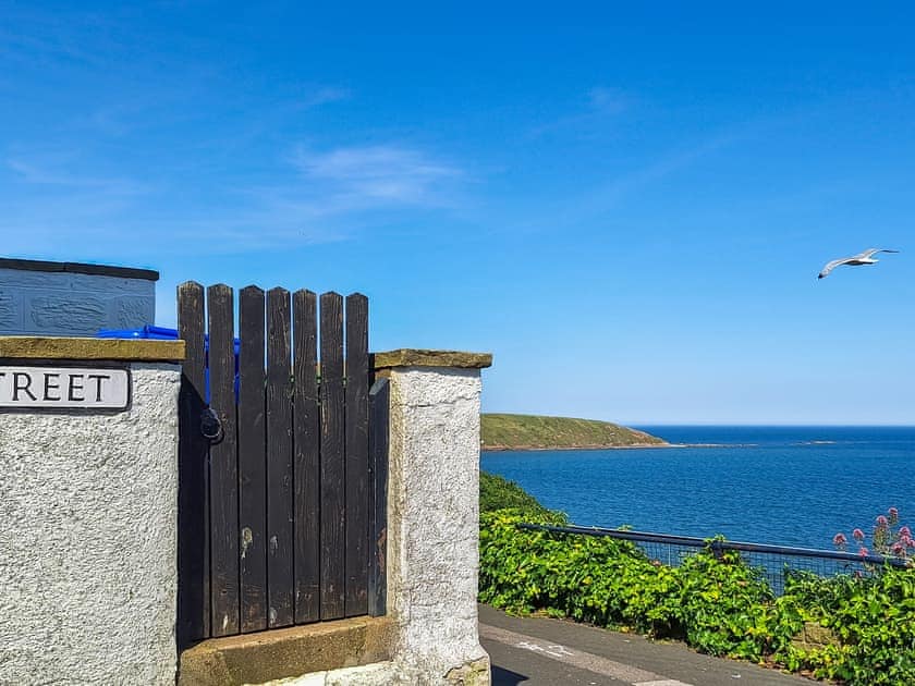 View | The Bee Happy House, Filey