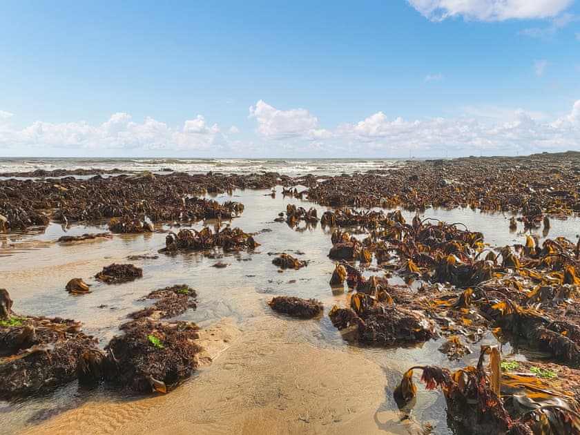 Surrounding area | Turtles Nest, Newbiggin by the Sea