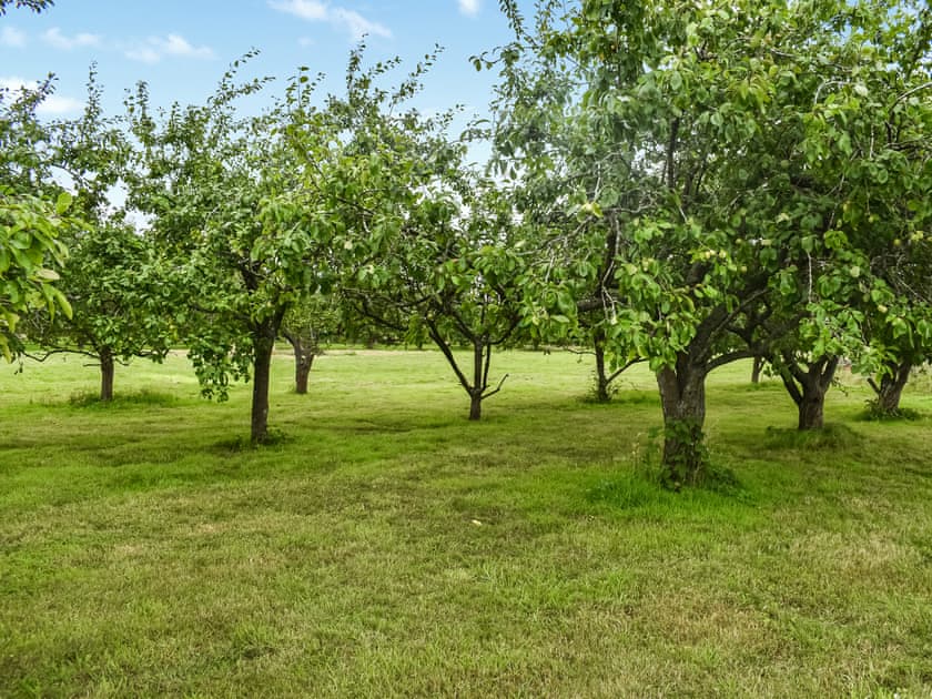 Surrounding area | Shepherd’s Retreat, Ongar