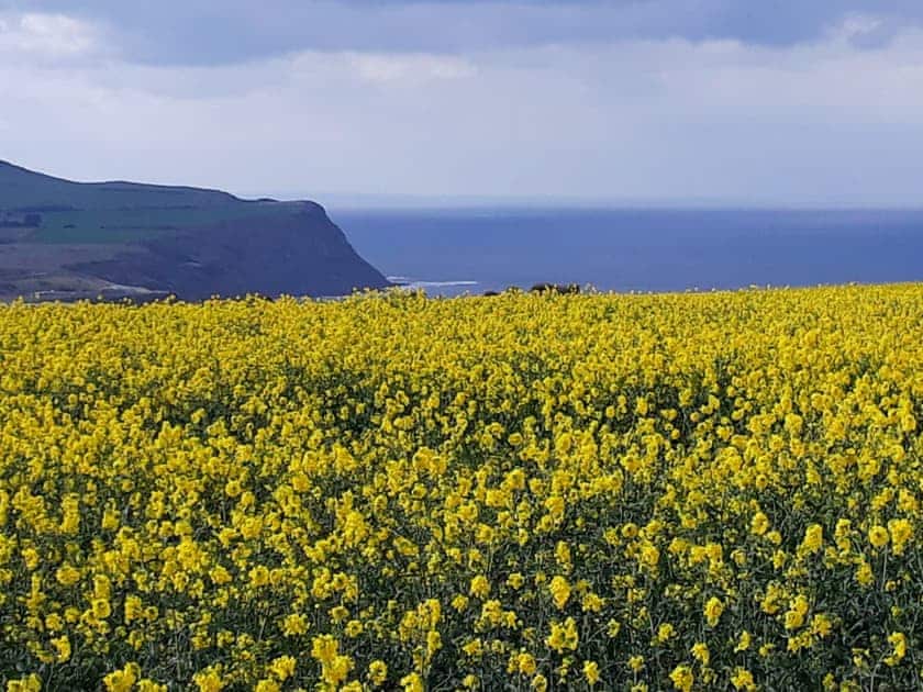 View | The Miner’s Cottage, Loftus, near Saltburn-by-the-Sea