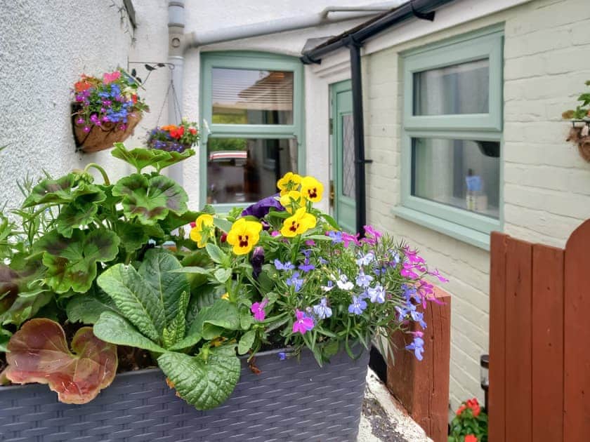 Terrace | The Miner’s Cottage, Loftus, near Saltburn-by-the-Sea