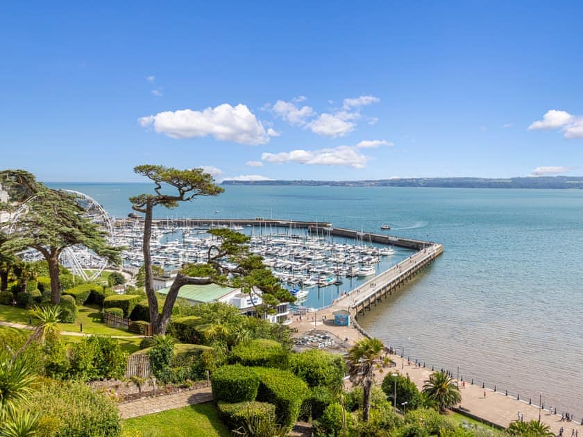 Garden | Tides Reach, Torquay Seafront