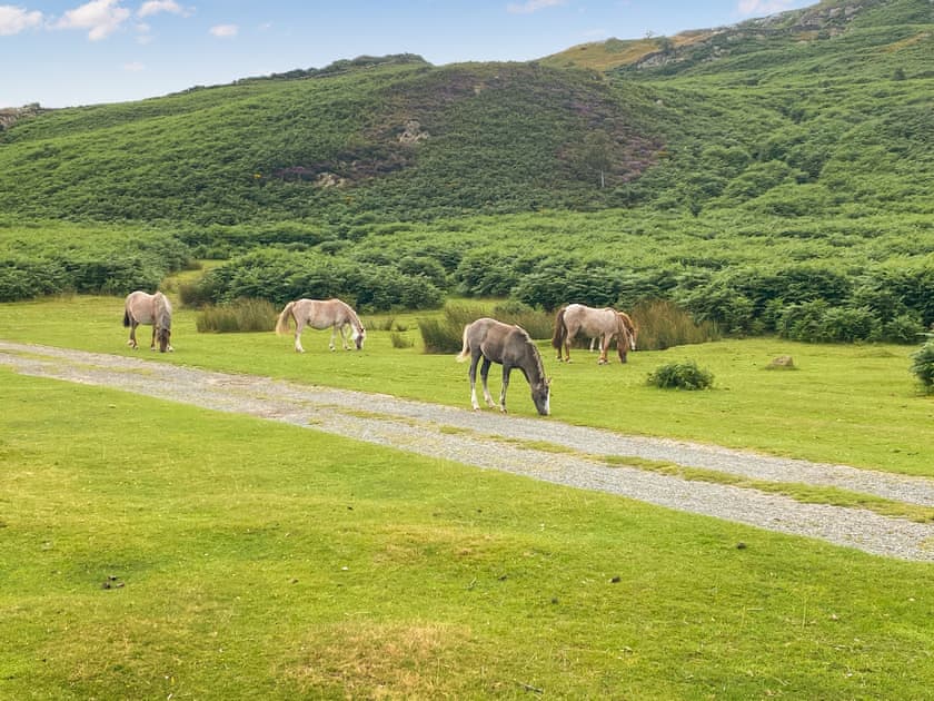 Surrounding area | 1 Bronrallt, Penmaenmawr, near Conwy