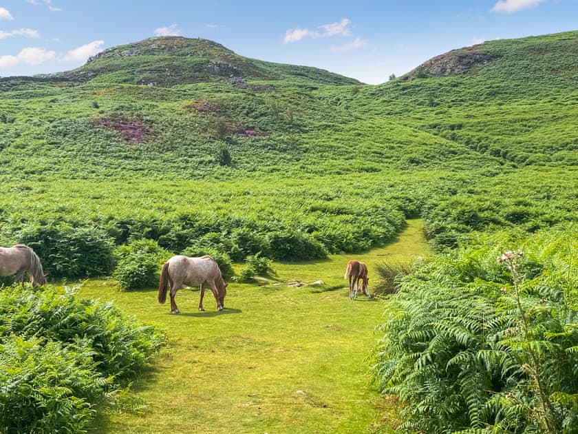 Surrounding area | 1 Bronrallt, Penmaenmawr, near Conwy
