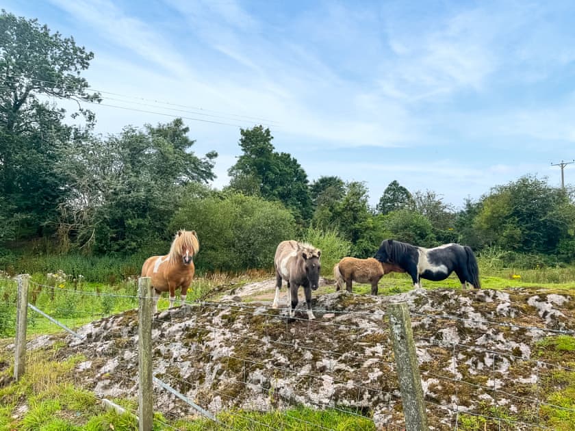 Surrounding area | Lodge Two - Bonnie Escapes, Dalbeattie