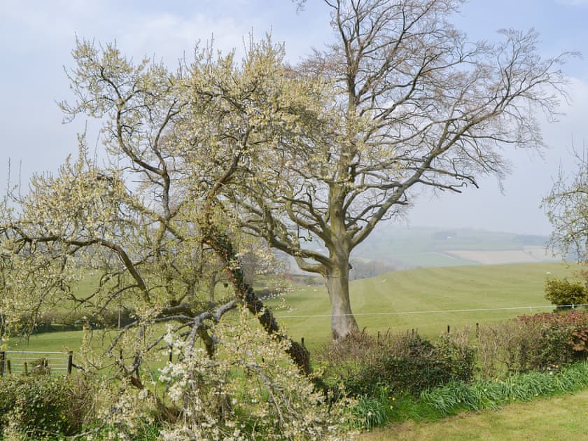 Surrounding area | Mavis Cottage - Hergest Ridge View, Kingswood, near Kington
