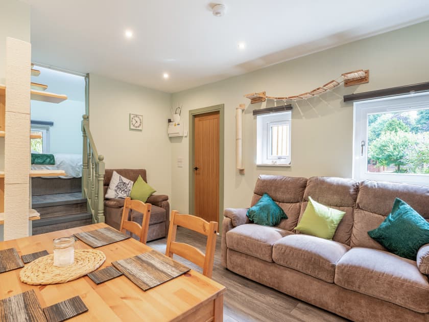 Open plan living space | The Cat Cabin - Heart of Scotland Holidays, Polmont, near Falkirk