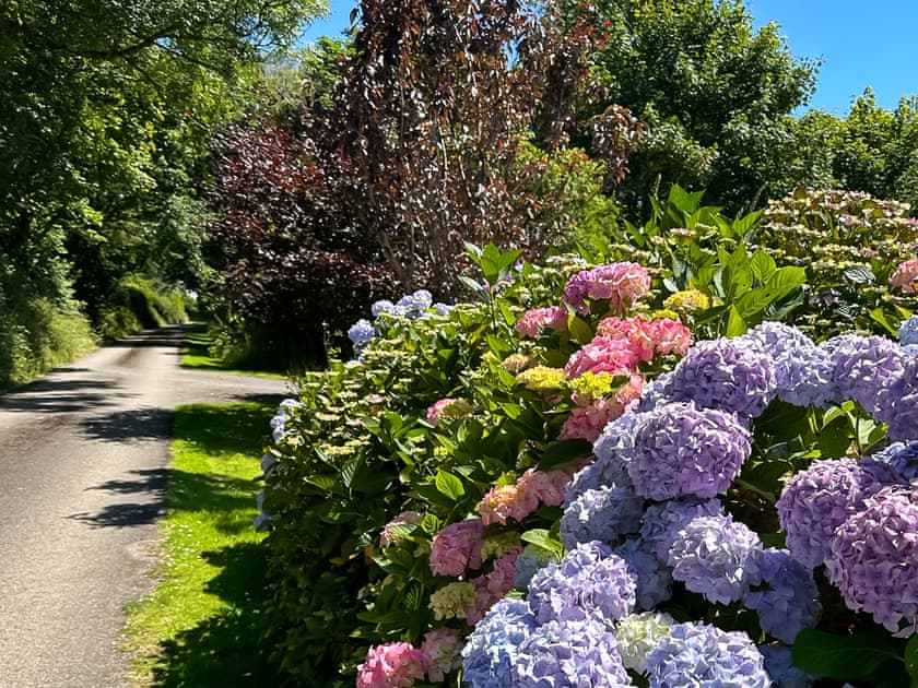 Driveway | Spruce Cottage - Golden Park, Hartland