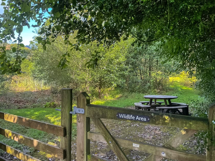 Wildlife Area with boggy pond  | Town End Barn, Satterthwaite near Coniston