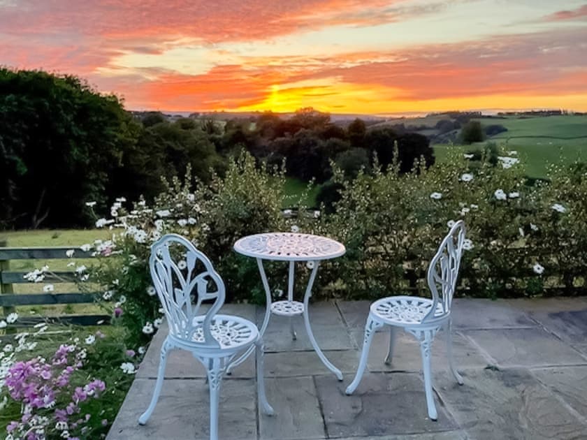 Terrace | The Cwtch, Newtown