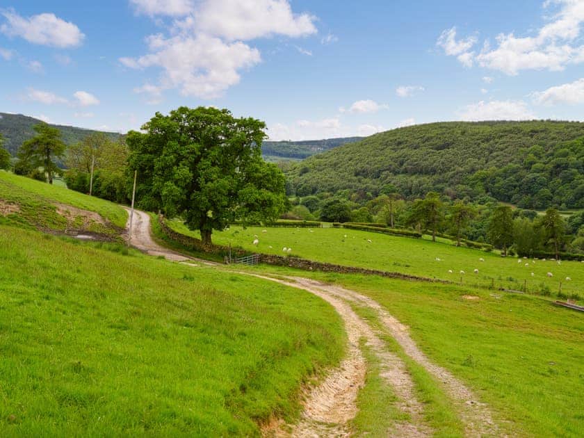 Surrounding area | Todd’s Pasture, Hawnby, near Helmsley