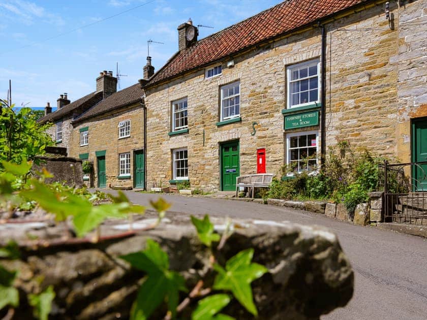Surrounding area | Todd’s Pasture, Hawnby, near Helmsley